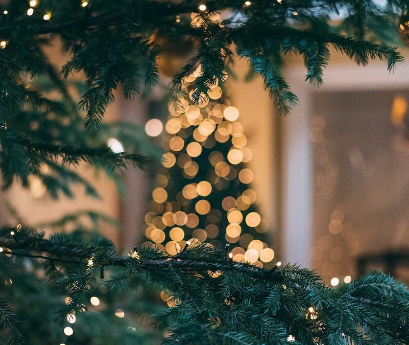 La Tradizione dell’albero di Natale